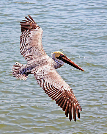 IMG_0171 cropped
